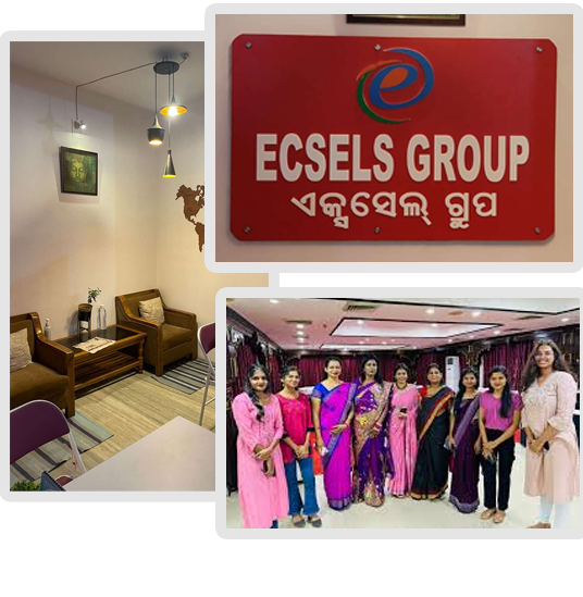 About Ecsels holidays bhubaneswar
